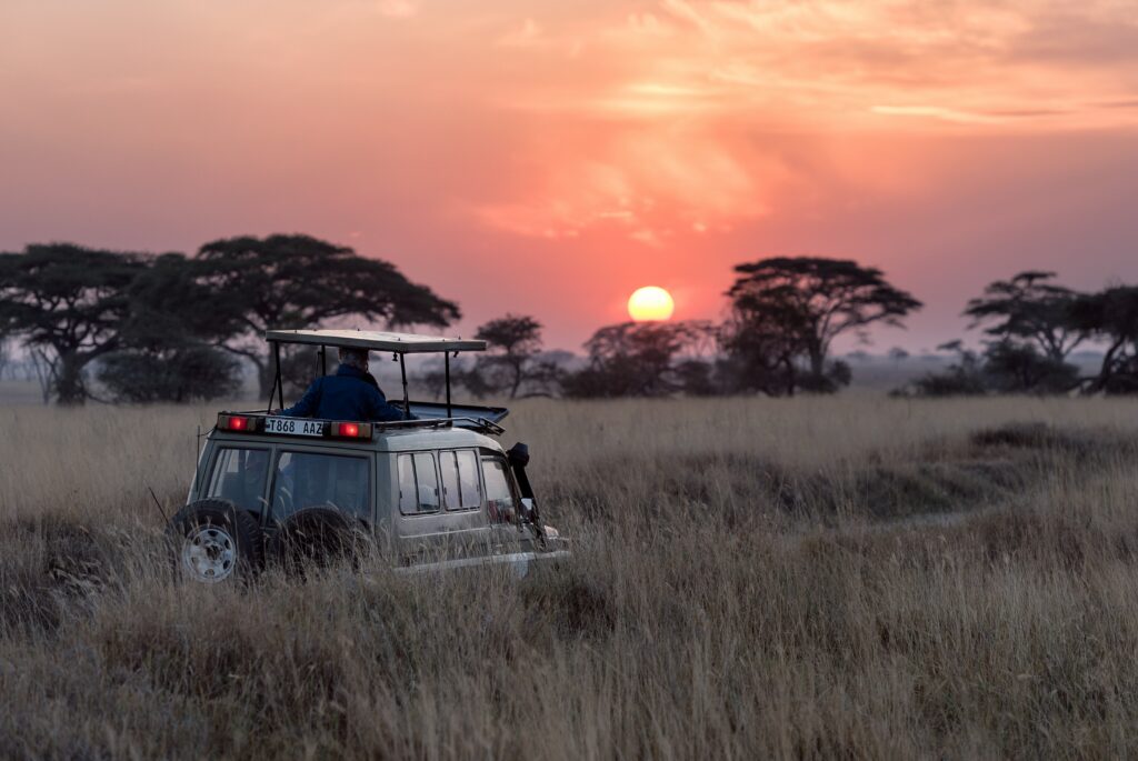Fortbewegen Mit Dem Geländewagen: Safari